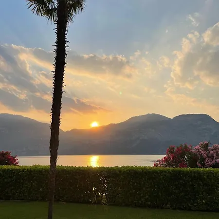 Sonja Villa *